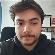 Prof de dessin traditionnel ou bien sur photoshop